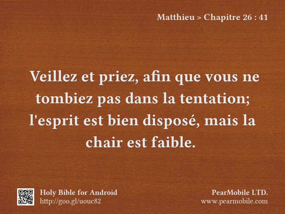 Matthieu, Chapitre 26:41